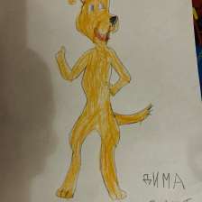 id1059190