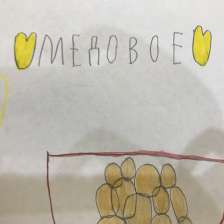 Настя Николаевна Анисина