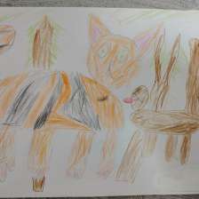 id1095037