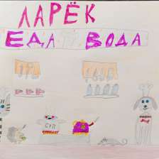 София Викторовна Назаренко