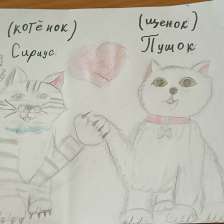 Василиса Турбина в конкурсе «Замурчательные рисунки»
