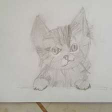 Рита Гадомская