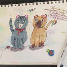 Элис Гесс