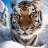 Андрей Tigra