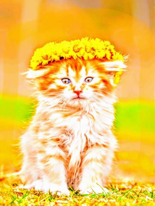 Рита