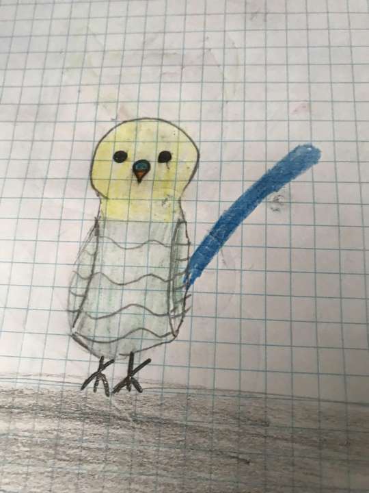 Настя