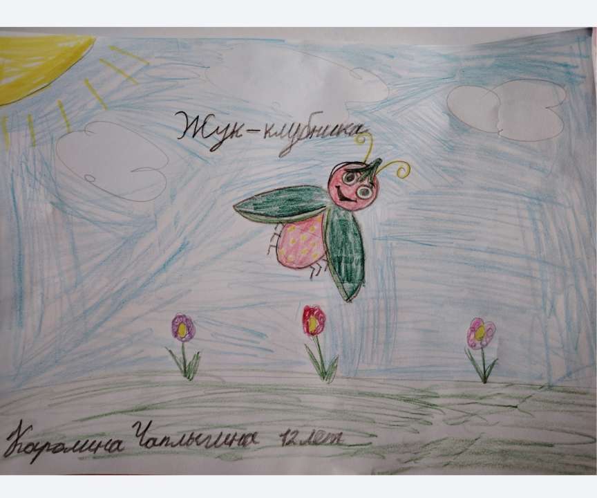 Каролина