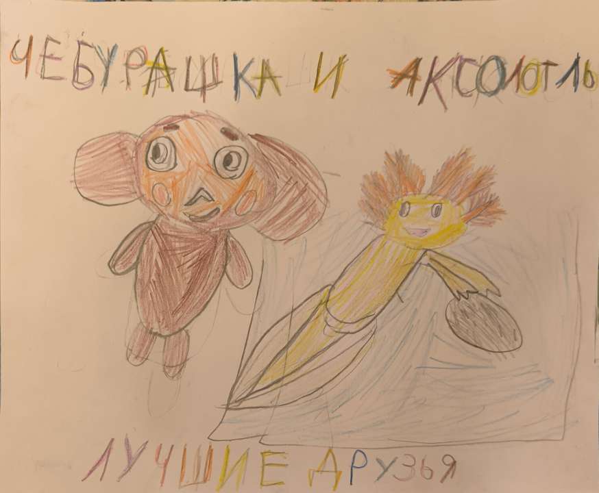 Айза Интигам кызы Маммадова