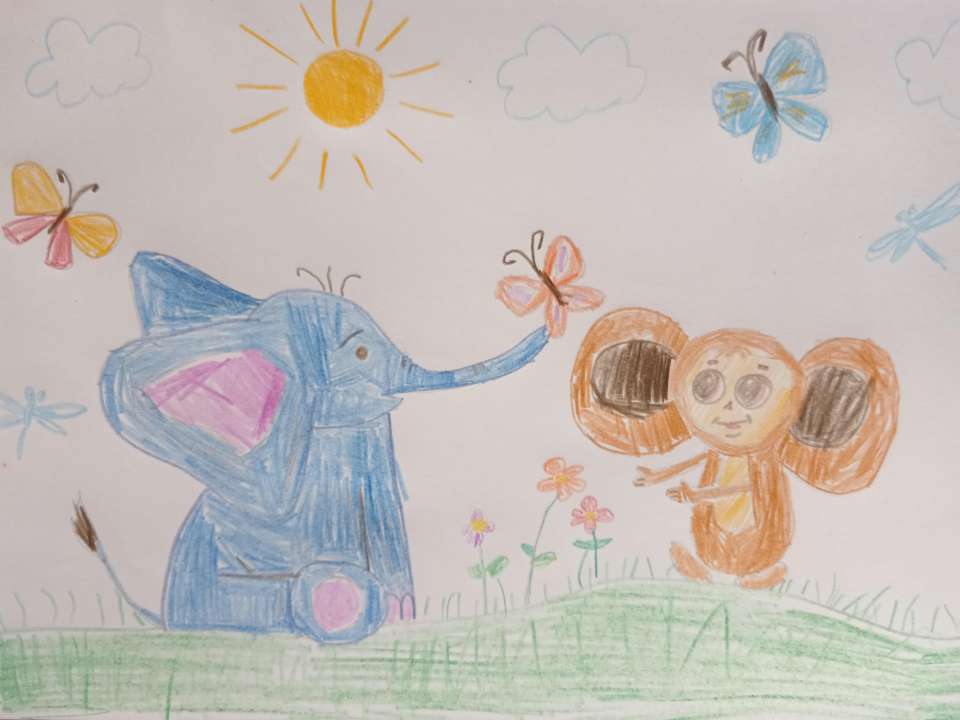 Тимур Юрьевич Ческидов