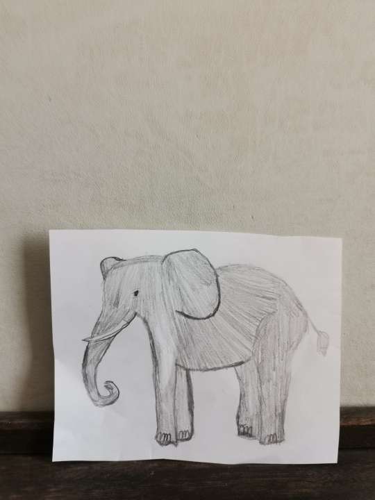 Глеб Артемович Левченко