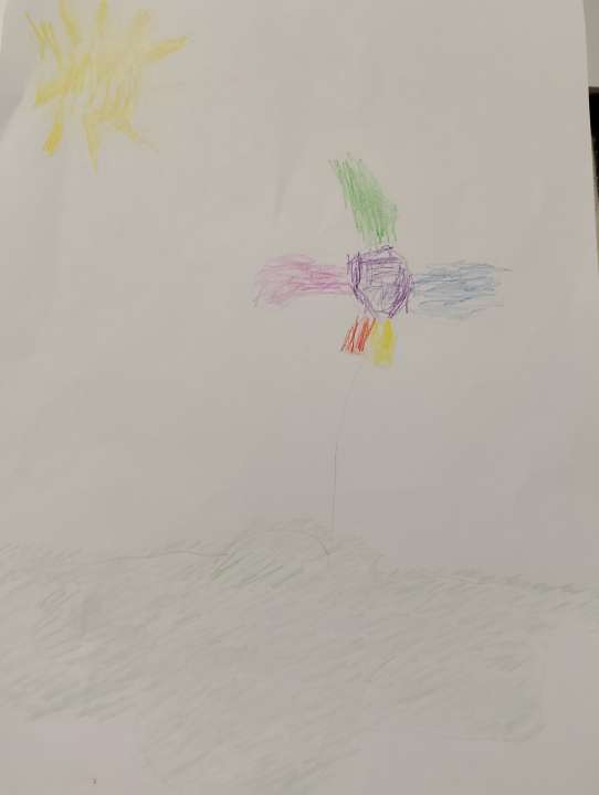 Олег Иванович Петухов