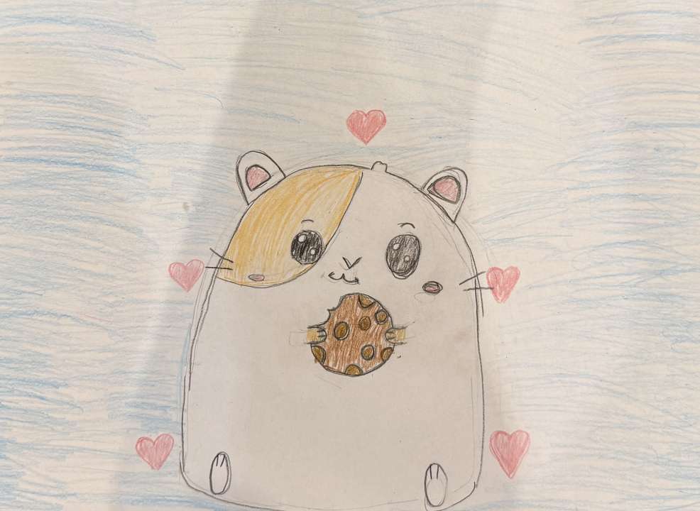 София Стельмашенко