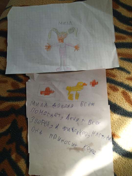 Ялина
