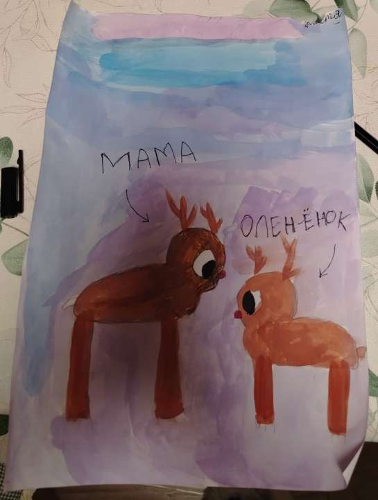 Анастасия Борушевская