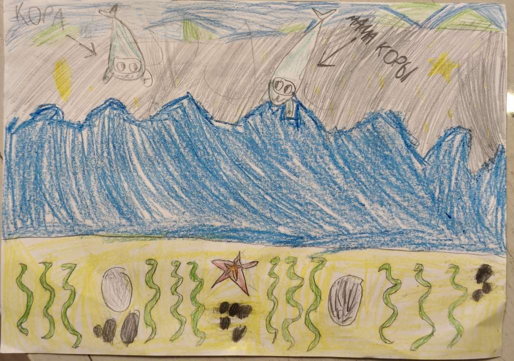 Кулешова Арина