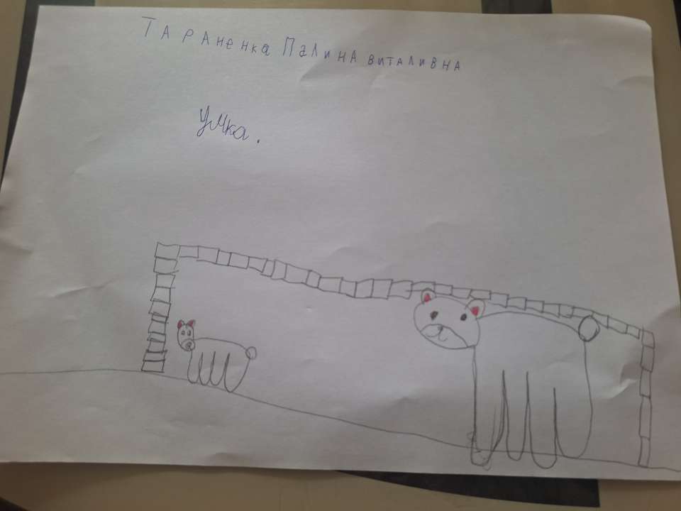 Полина Тараненко