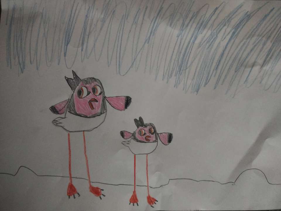 Дарья Цыбулевская