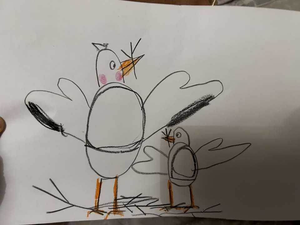 «Алиса  в стране чудес»