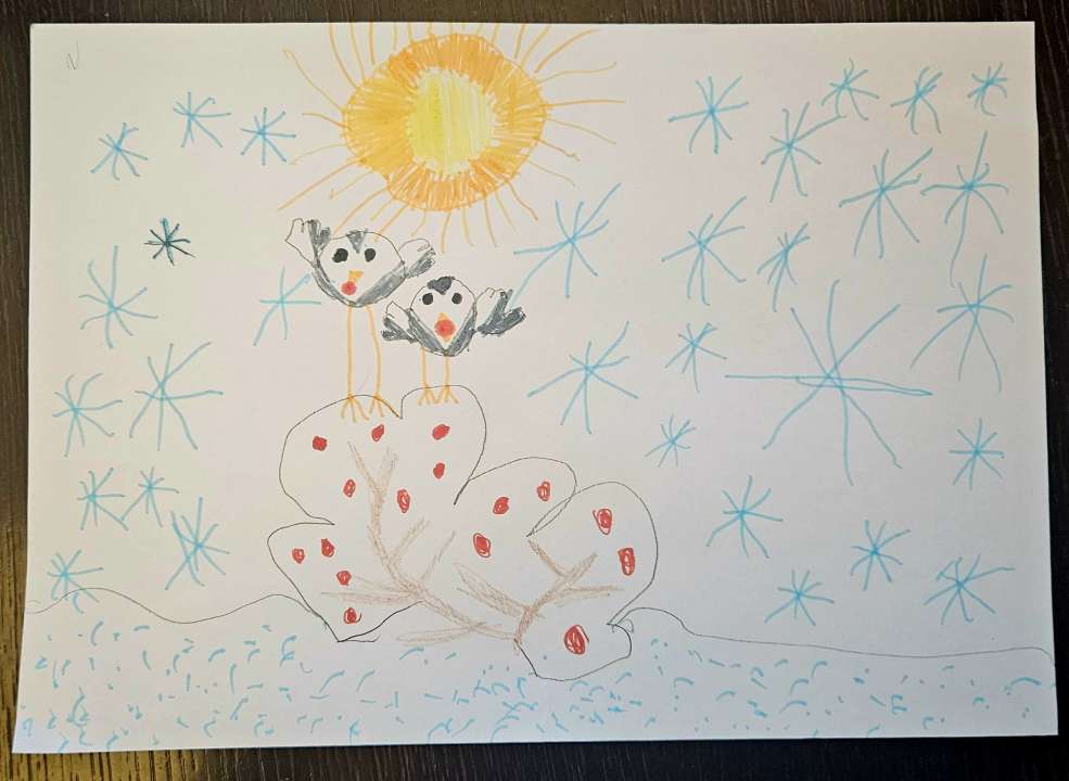 Арина Смирнова