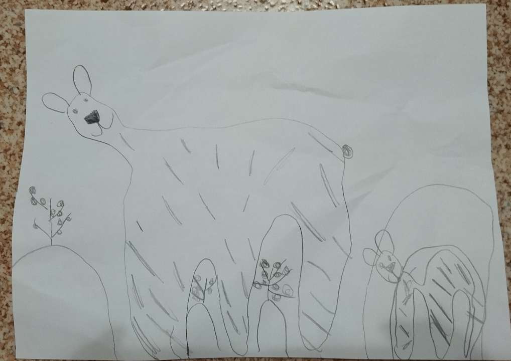 Александра Алямкина