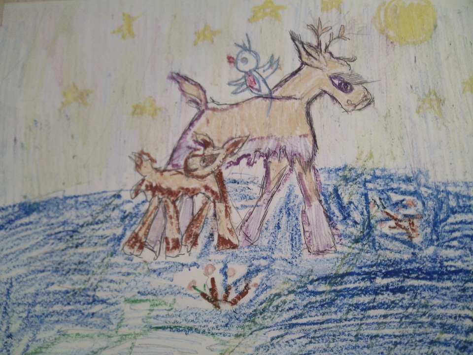 Андреев Никита