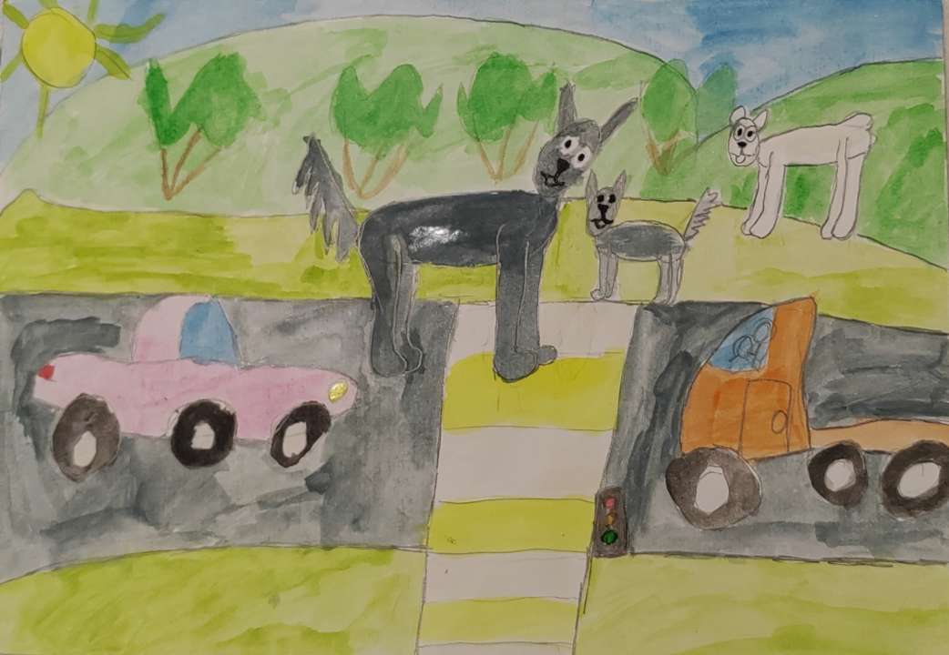 Алина Жуковец