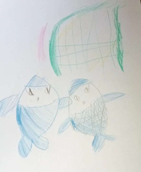 Вера Студнева