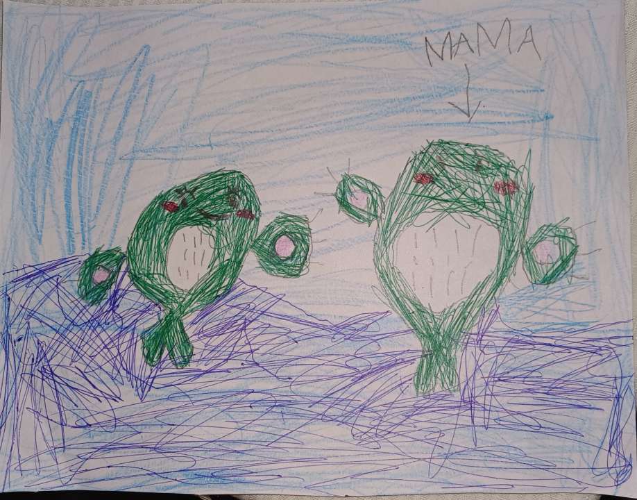 Аня Зенкова