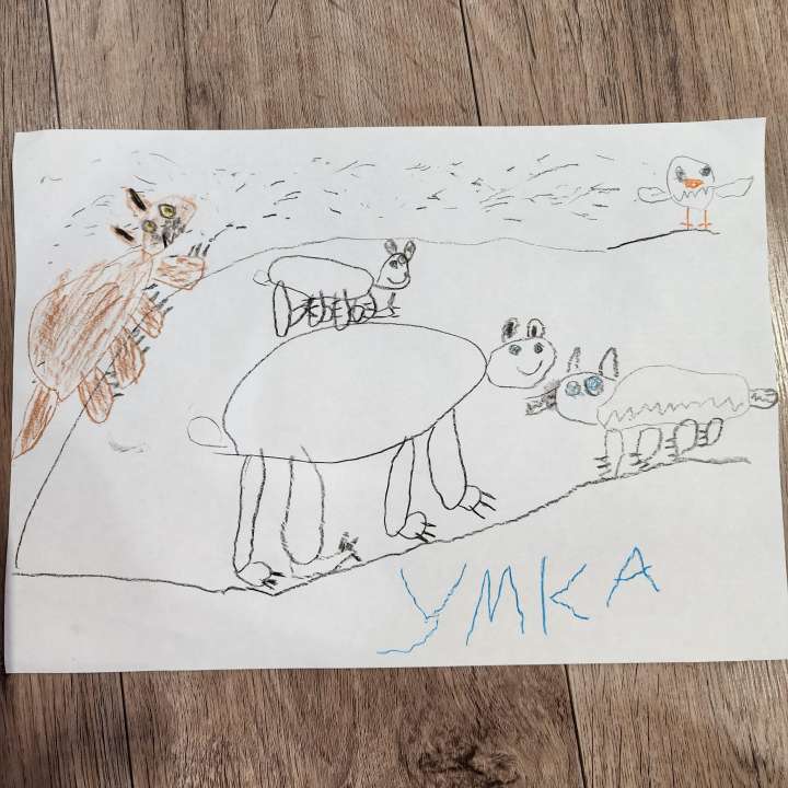 Сафонов Егор