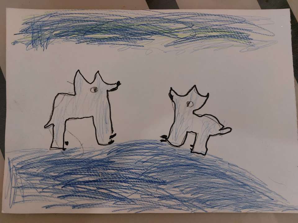 Емельянова Катя