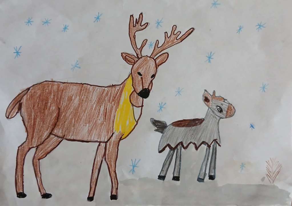 Жеребцов Дима