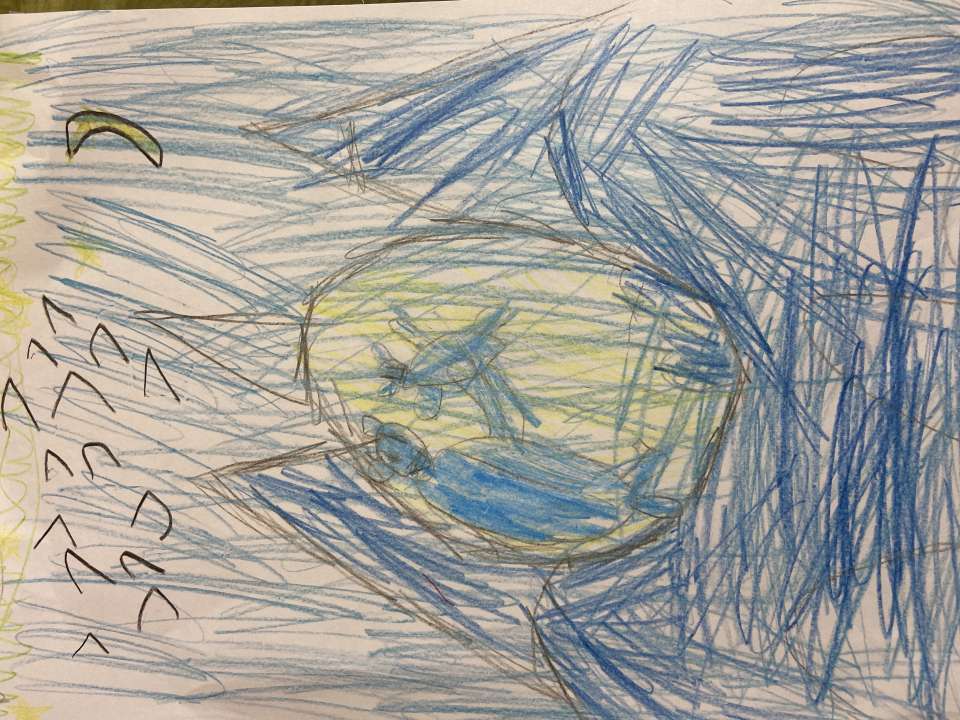 Евгений Соколов