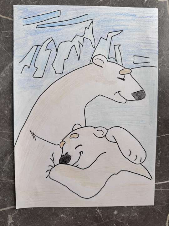 Полина Вытеганцева