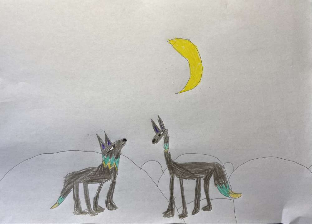 Мирослава Ковалева