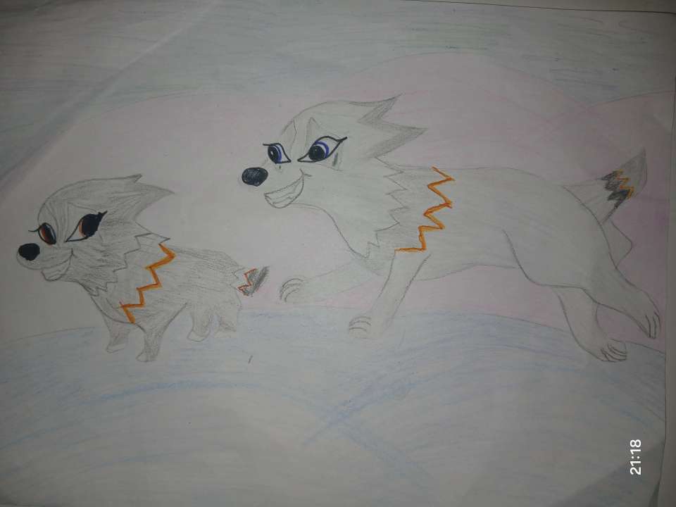 Полина Голикова