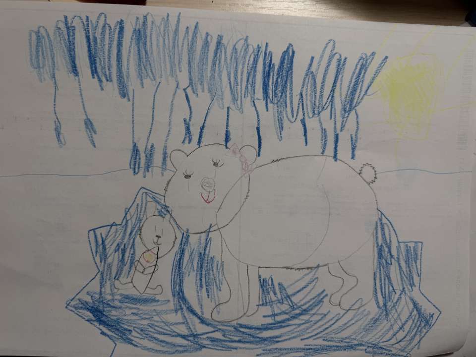 София Кодинцева