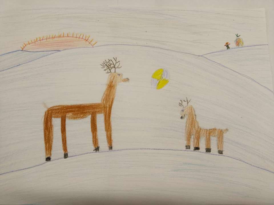 Софья Болтырова