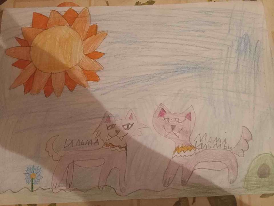 Женя Богомолова