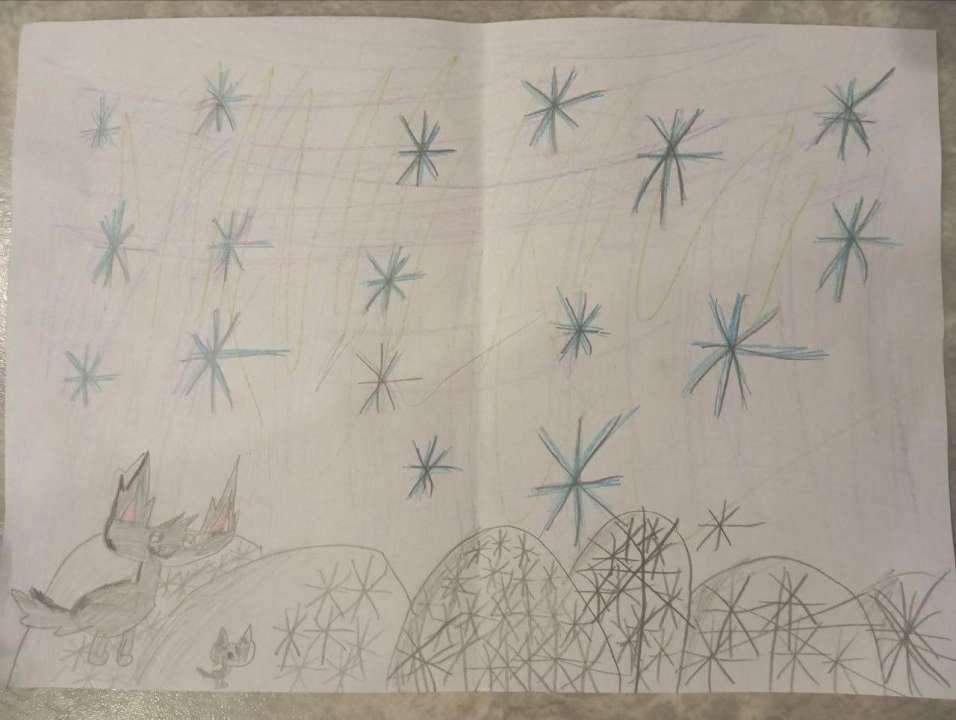 Женя Ничипорчук