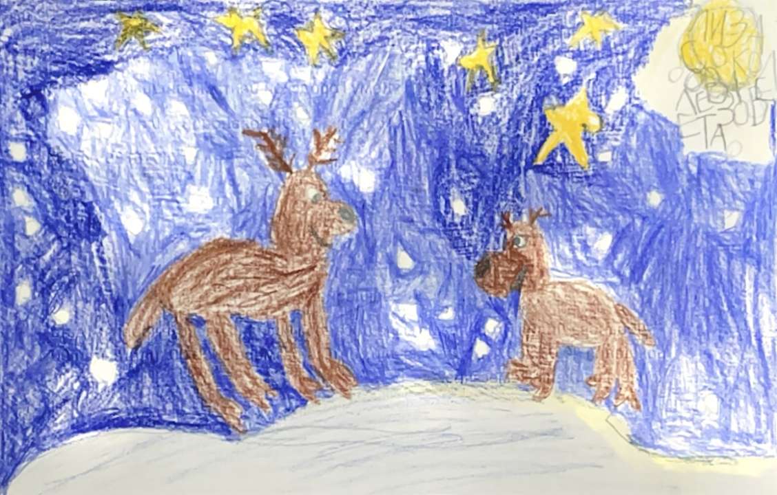 Лиза Соколова