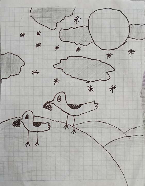 Степанова Софья