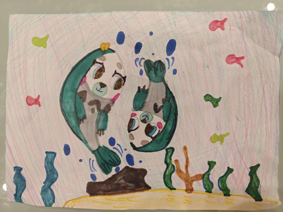 Косарева   Анастасия