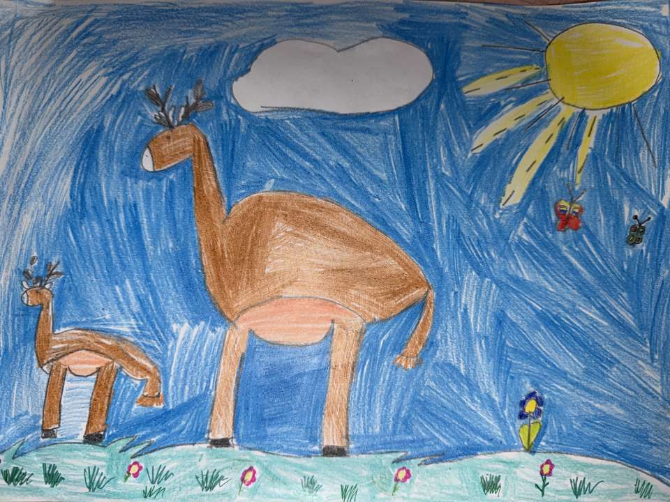 Ева Сыропятова