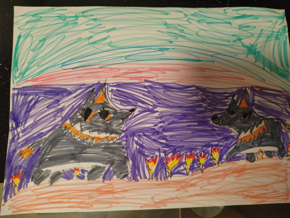 Анастасия Воронина