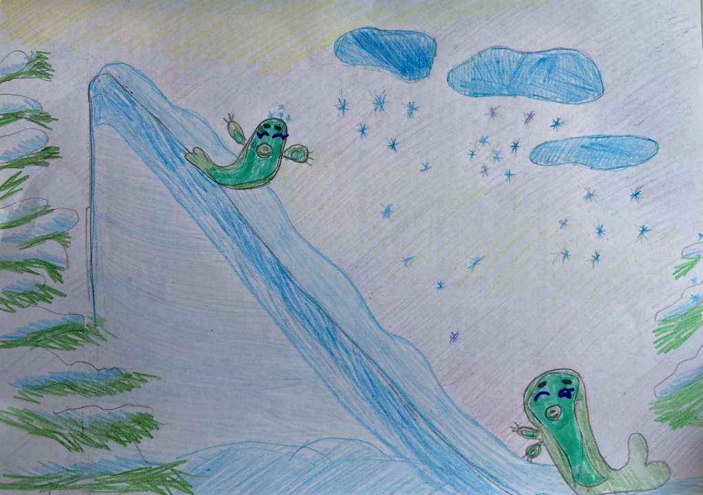 Куценко Анастасия Игоревна