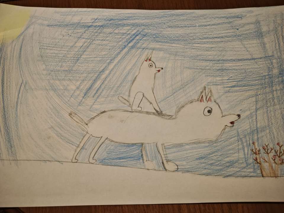 София Табуркина