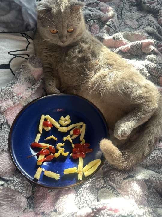 Таисия Билинчук