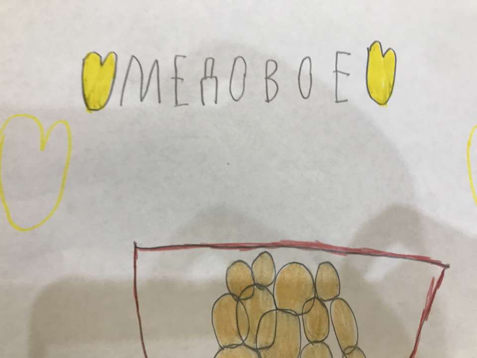 Настя Николаевна Анисина