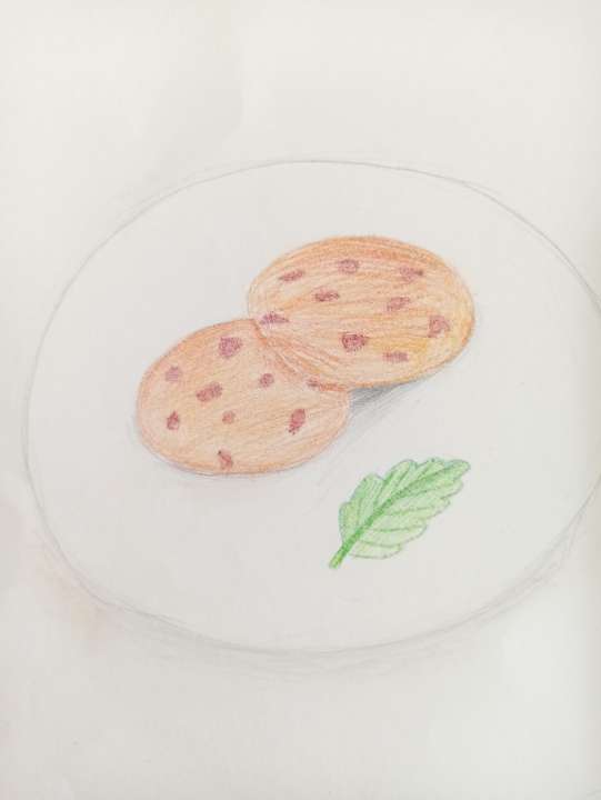 Анна Николаевна Чибисова