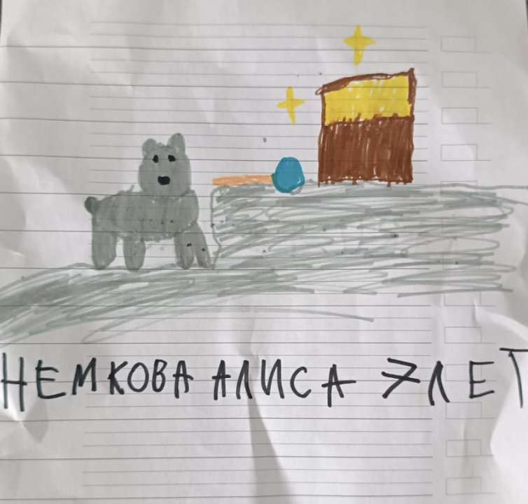 Алиса Максимовна Немкова